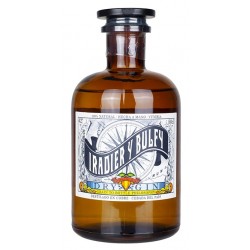 IRADIER Y BULFY Dry Gin 42% Vol. 0,5 Liter bei Premium-Rum.de
