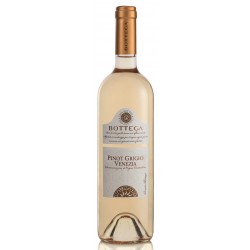 Pinot Grigio Venezia DOC Bottega Spa 0,75 Liter bei Premium-Rum.de
