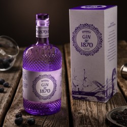 Bertagnolli Gin1870 Blueberry Dry Gin 40% Vol. 0,7 Liter in Geschenkbox