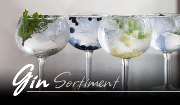 Gin Sortiment